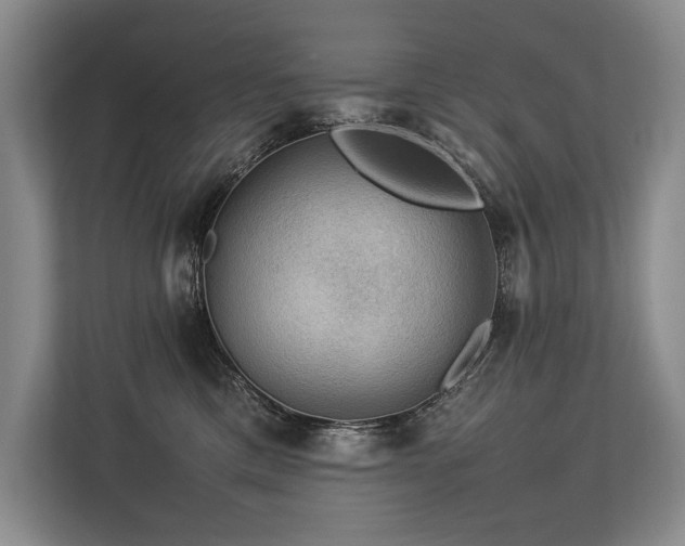 X0000113780425200909231319
