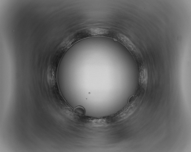 X0000113780426200909231319