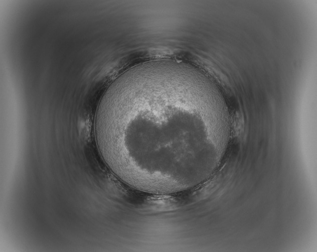 X0000113780427200909231319