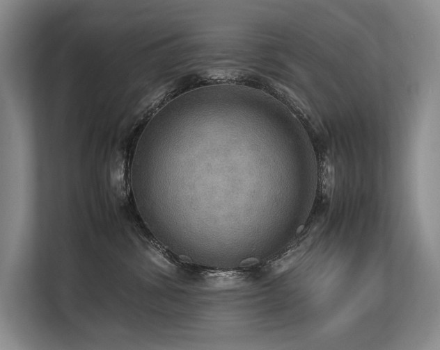 X0000113780428200909231319