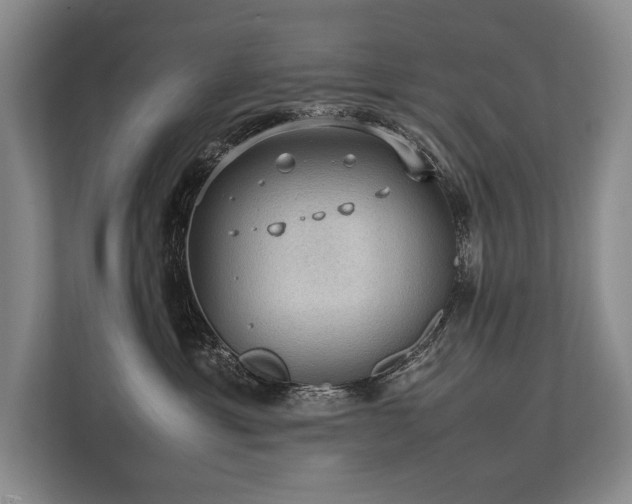 X0000113780429200909231319