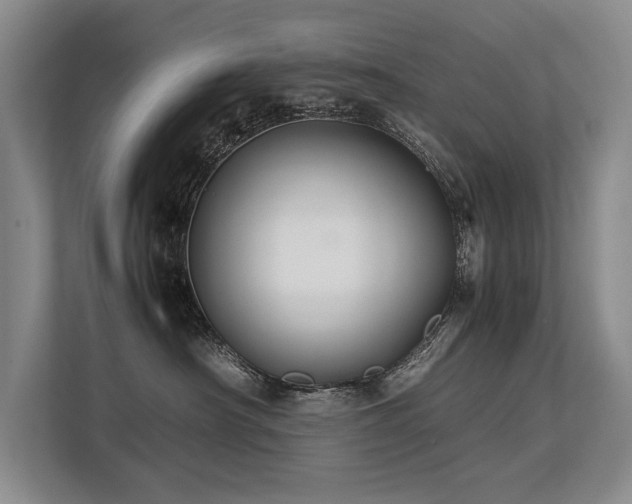 X0000113780430200909231319