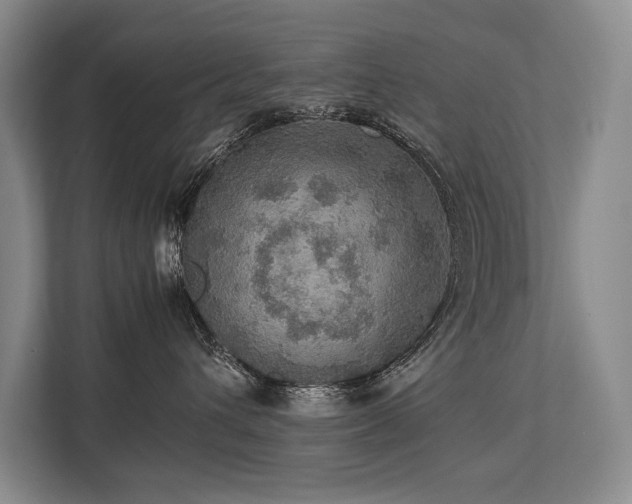 X0000113780432200909231319