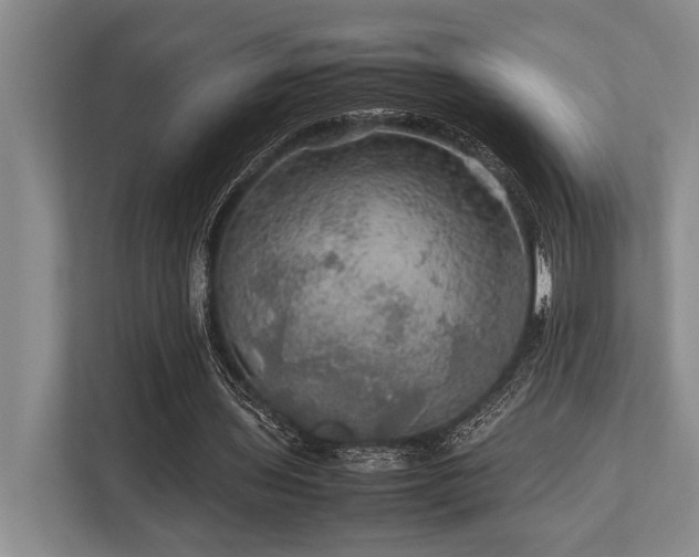 X0000113780435200909231319