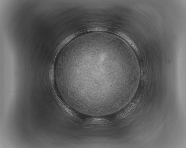 X0000113780437200909231319