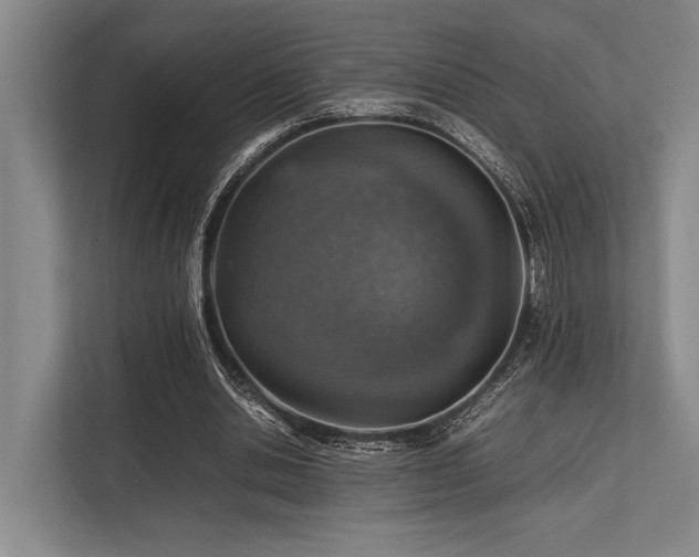 X0000113780438200909231319