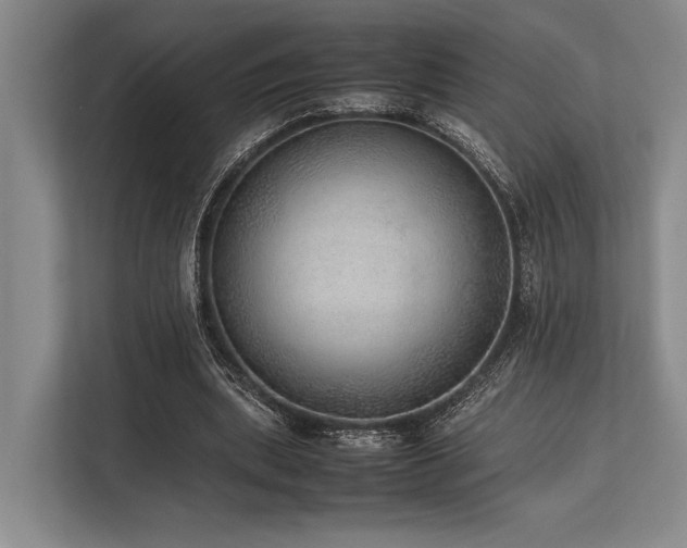 X0000113780439200909231319