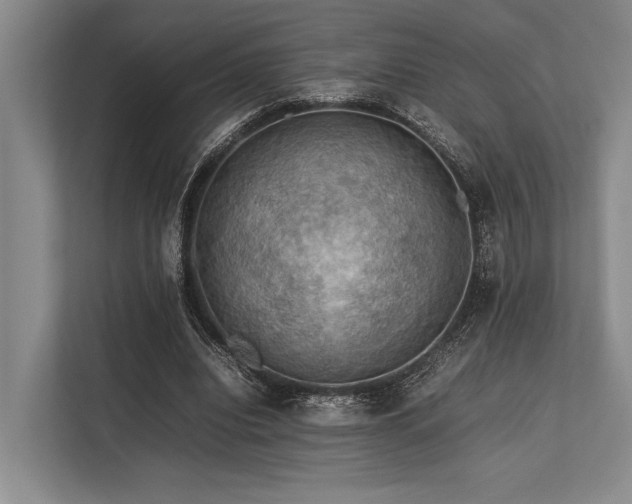 X0000113780440200909231319