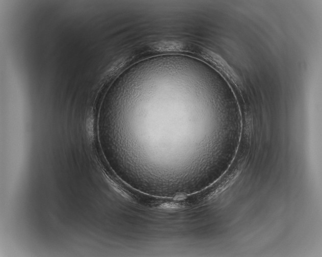 X0000113780441200909231319