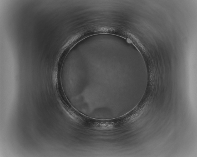 X0000113780443200909231319