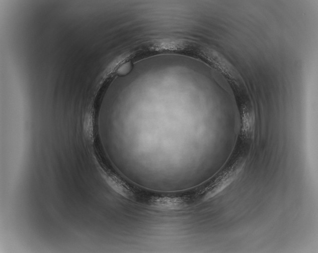 X0000113780444200909231319