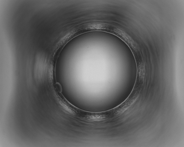X0000113780445200909231319
