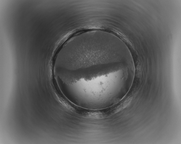 X0000113780446200909231319