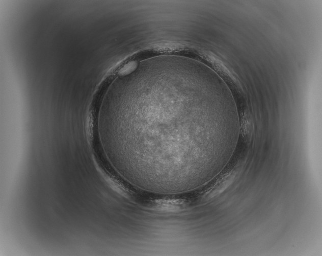 X0000113780448200909231319