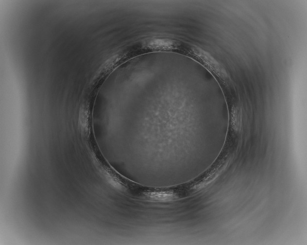 X0000113780449200909231319