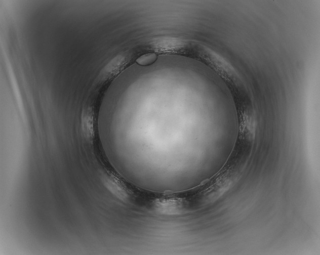 X0000113780452200909231319