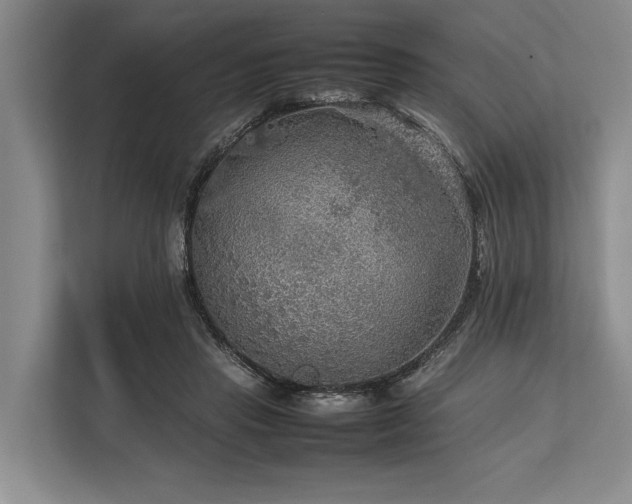 X0000113780453200909231319