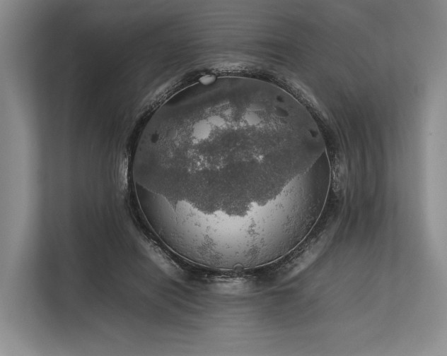 X0000113780454200909231319