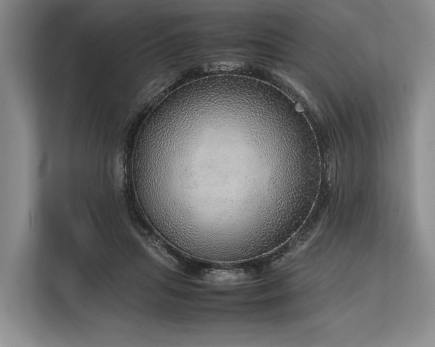 X0000113780455200909231319