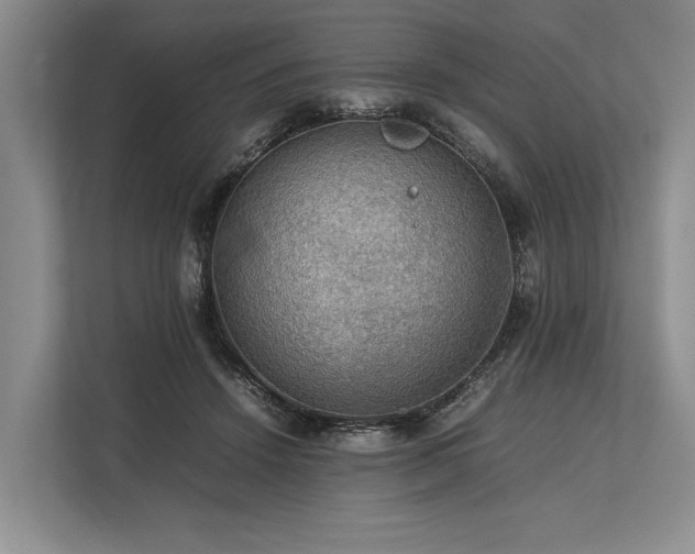 X0000113780456200909231319