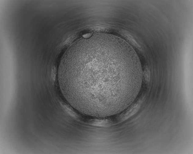 X0000113780458200909231319