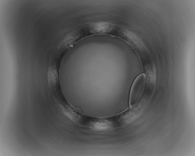 X0000113780459200909231319