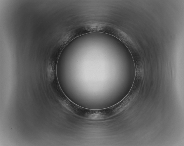 X0000113780460200909231319