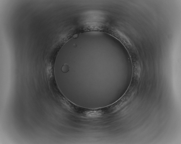 X0000113780465200909231319
