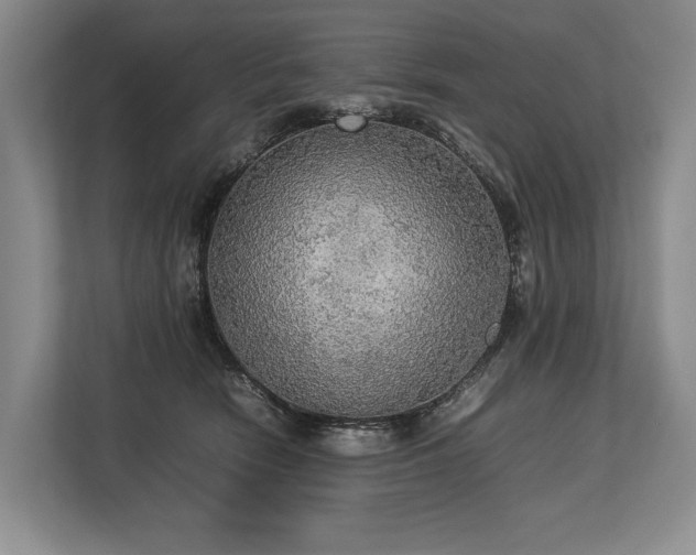 X0000113780466200909231319