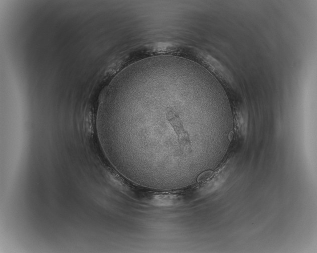X0000113780470200909231319