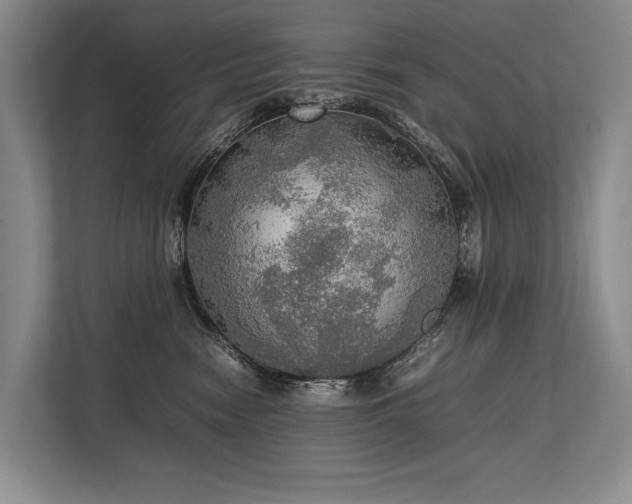 X0000113780474200909231319