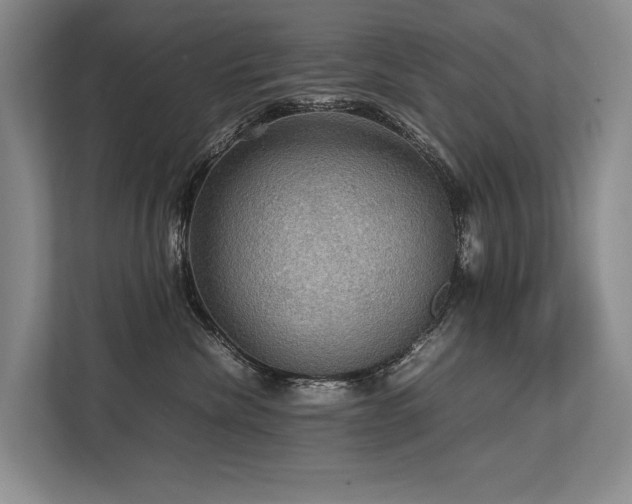 X0000113780476200909231319