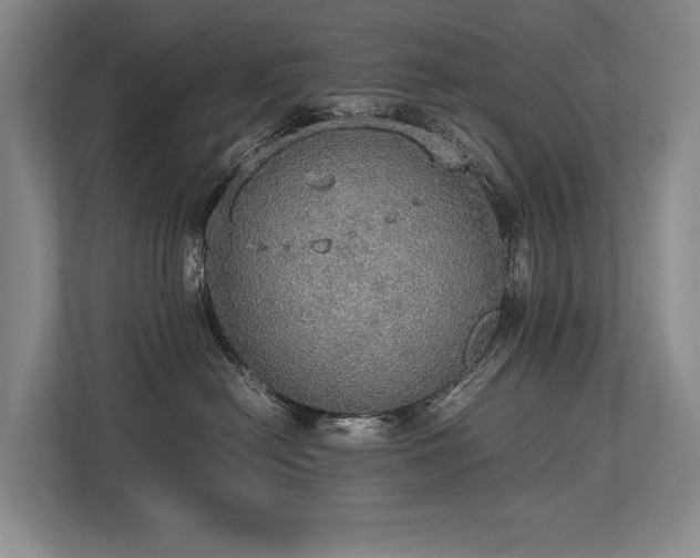X0000113780478200909231319