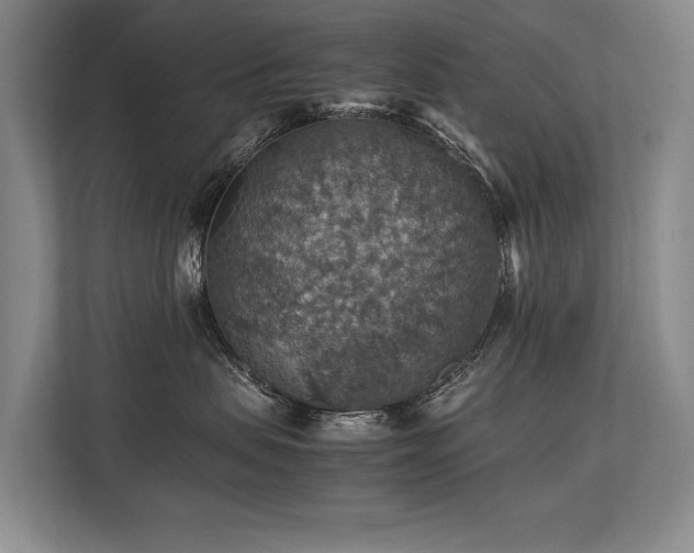 X0000113780479200909231319