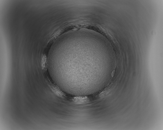 X0000113780480200909231319