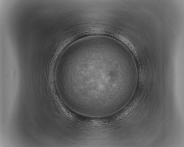 X0000113780481200909231319