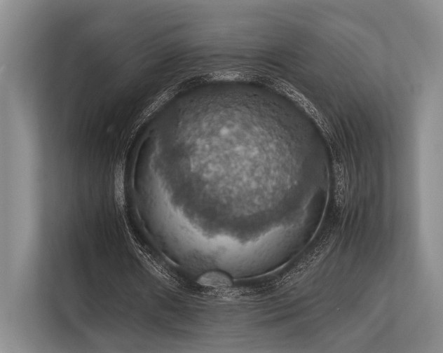 X0000113780482200909231319