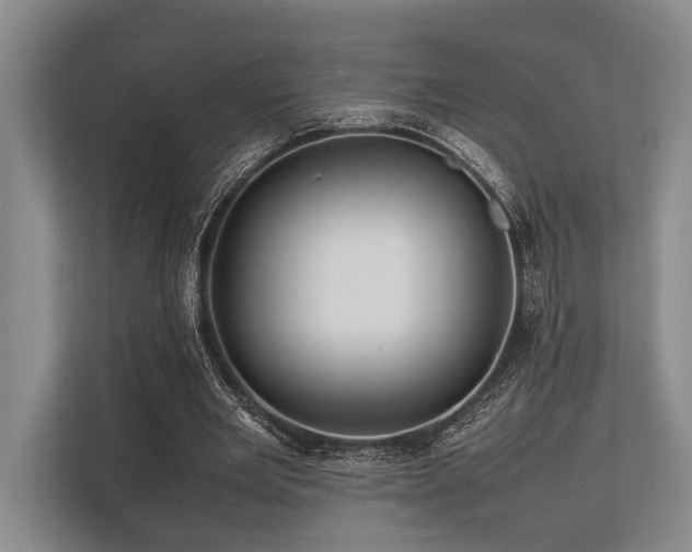 X0000113780485200909231319