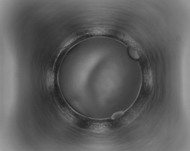 X0000113780488200909231318