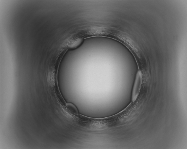X0000113780489200909231318