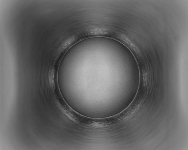 X0000113780490200909231318