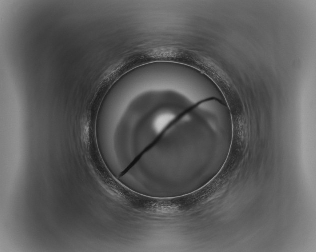 X0000113780491200909231318