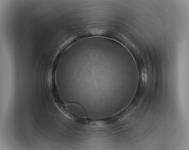 X0000113780492200909231318