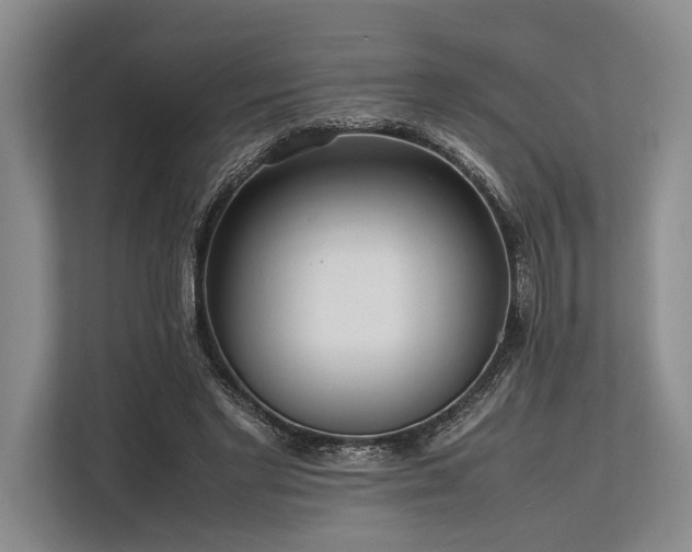 X0000113780493200909231318