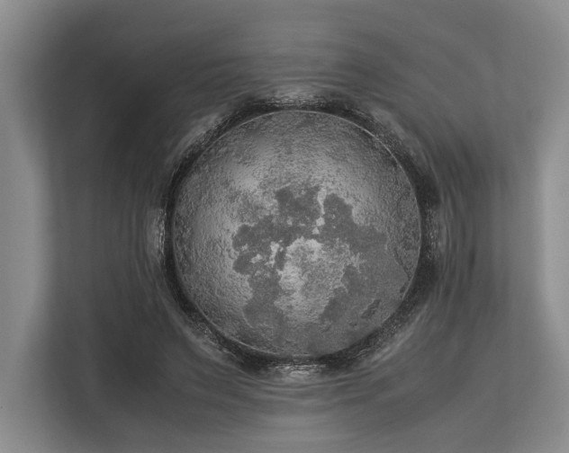 X0000113780495200909231318