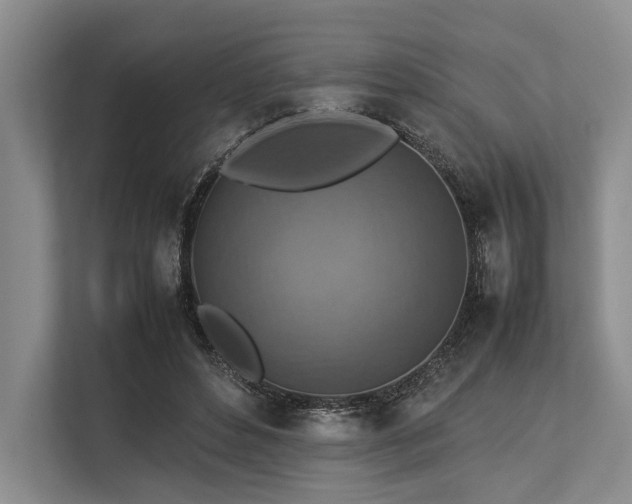 X0000113780496200909231318