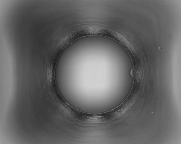 X0000113780497200909231318