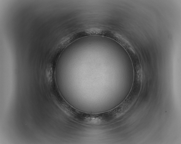 X0000113780498200909231318