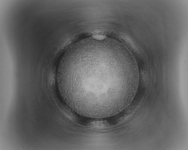 X0000113780499200909231318