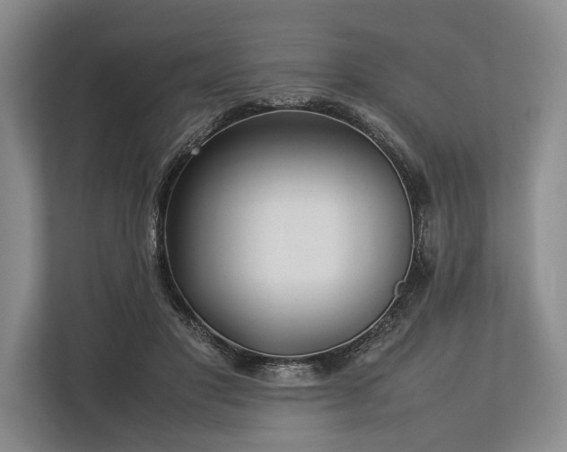 X0000113780501200909231318